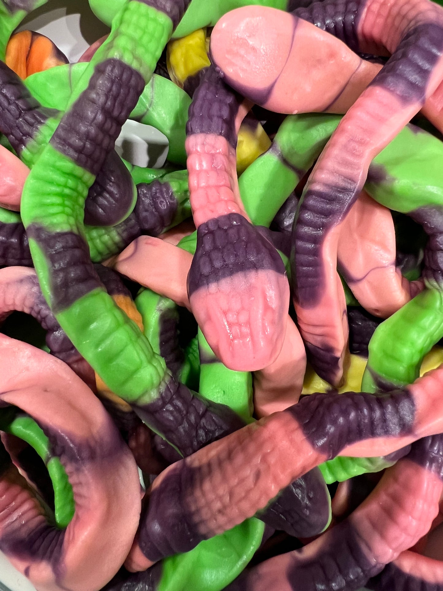 Anaconda's van Vidal
