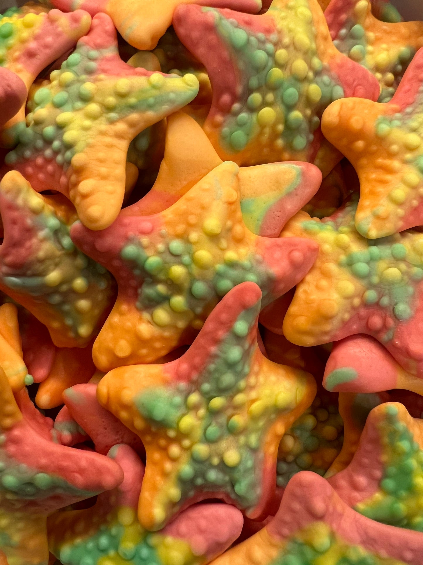 Zeesterren van Troli